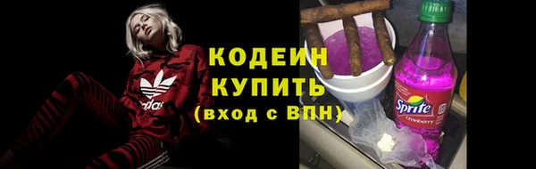 дживик Кинешма