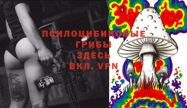 дживик Кинешма