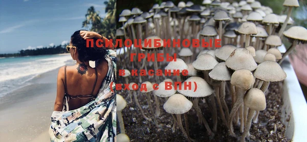 амф Козловка