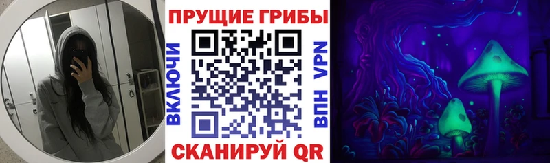 Галлюциногенные грибы Magic Shrooms  ссылка на мегу сайт  Кологрив 