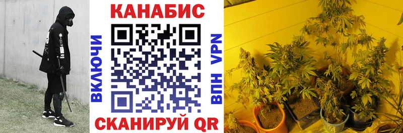сколько стоит  Кологрив  Каннабис сатива 